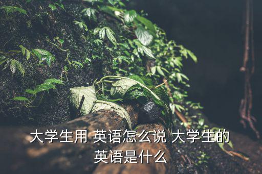  大學生用 英語怎么說 大學生的 英語是什么