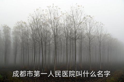 成都市毛雄，成都市第一人民醫院叫什么名字