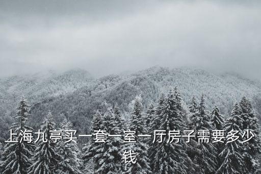 上海九亭買一套一室一廳房子需要多少錢