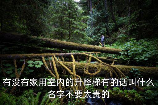 有沒有家用室內的升降梯有的話叫什么名字不要太貴的
