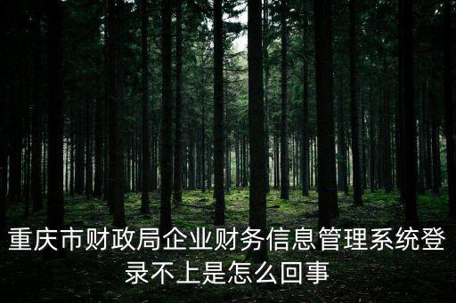 重慶市財政局企業(yè)財務(wù)信息管理系統(tǒng)登錄不上是怎么回事