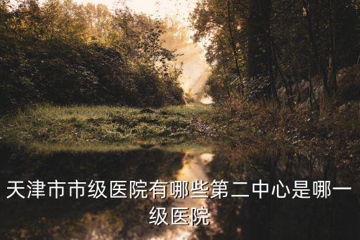 天津市市級醫院有哪些第二中心是哪一級醫院