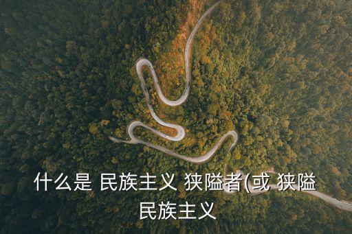 狹隘的民族主義,法西斯主義在民族主義領域產生影響