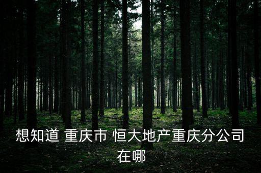想知道 重慶市 恒大地產重慶分公司 在哪
