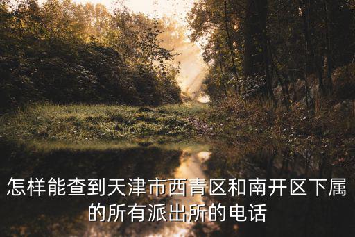天津市南開區花園派出所電話，怎樣能查到天津市西青區和南開區下屬的所有派出所的電話