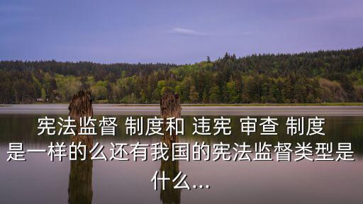 憲法監督 制度和 違憲 審查 制度是一樣的么還有我國的憲法監督類型是什么...