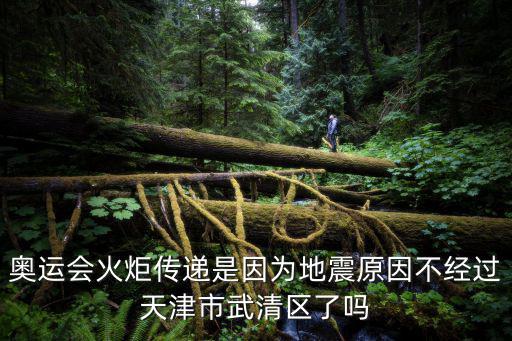 奧運(yùn)會火炬?zhèn)鬟f是因?yàn)榈卣鹪虿唤?jīng)過天津市武清區(qū)了嗎