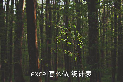excel怎么做 統計表