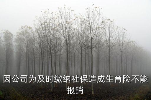 因公司為及時繳納社保造成生育險不能報銷