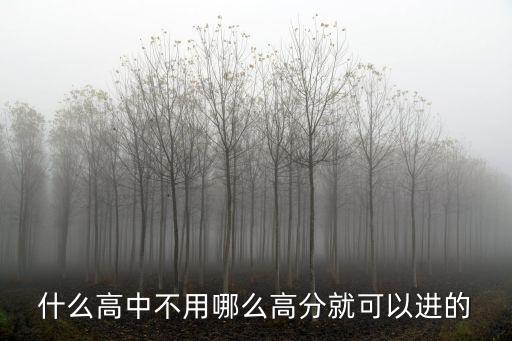 什么高中不用哪么高分就可以進的