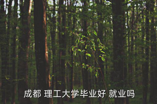  成都 理工大學畢業好 就業嗎