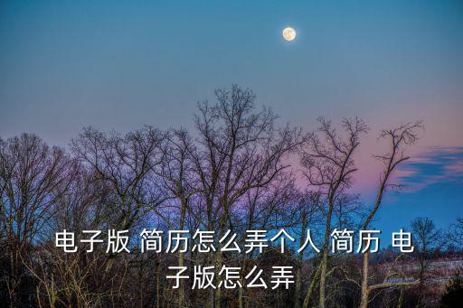  電子版 簡歷怎么弄個人 簡歷 電子版怎么弄