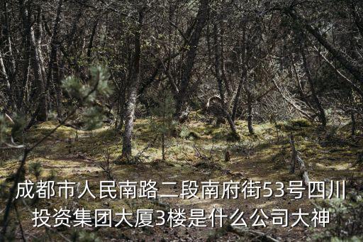 成都市人民南路二段南府街53號四川投資集團(tuán)大廈3樓是什么公司大神