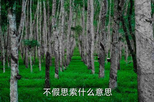 不假思索是什么意思,不假思索造句（1）聰明弟弟三思而行