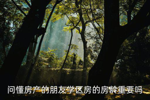問懂房產的朋友學區房的房齡重要嗎