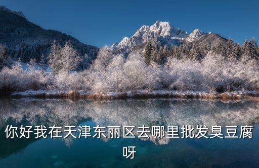 你好我在天津東麗區去哪里批發臭豆腐呀