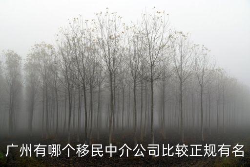 中國十大移民公司排名廣州，廣州有哪個移民中介公司比較正規有名