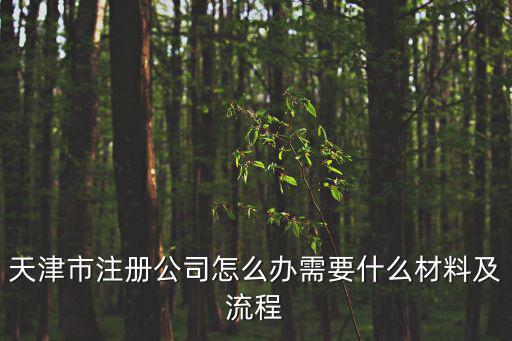 天津市注冊(cè)公司怎么辦需要什么材料及流程