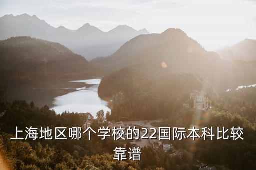 上海地區哪個學校的22國際本科比較靠譜