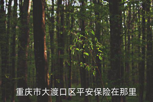 重慶市大渡口區(qū)平安保險在那里