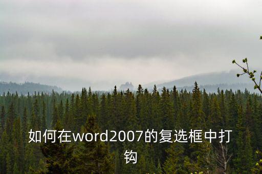 如何在word2007的復(fù)選框中打鉤