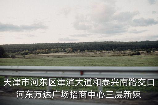 大鯊魚天津市河東區，大白鯊款式的電動車在天津哪里有賣的