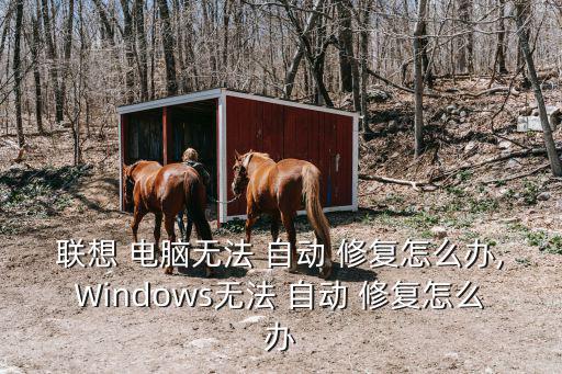 聯(lián)想 電腦無法 自動(dòng) 修復(fù)怎么辦,Windows無法 自動(dòng) 修復(fù)怎么辦