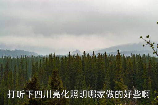 打聽下四川亮化照明哪家做的好些啊