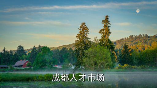 成都人才市場