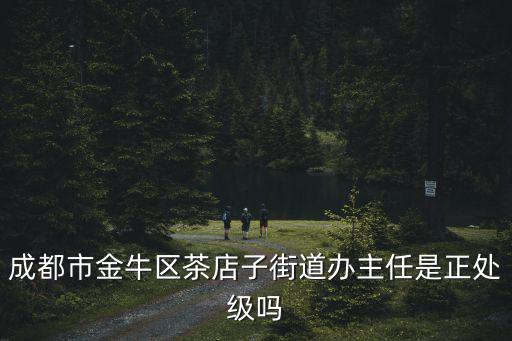 成都市金牛區(qū)茶店子街道辦主任是正處級嗎