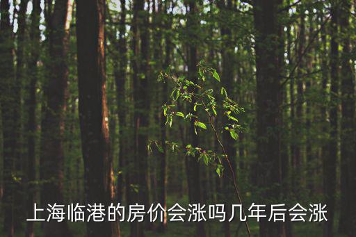 上海臨港的房價會漲嗎幾年后會漲