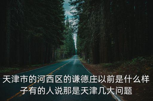 天津市的河西區的謙德莊以前是什么樣子有的人說那是天津幾大問題