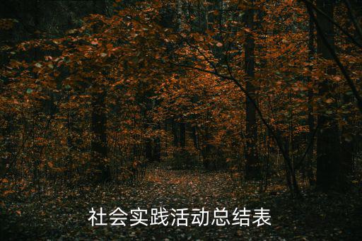 社會實踐活動總結表