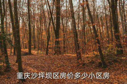 重慶沙坪壩區房價多少小區房