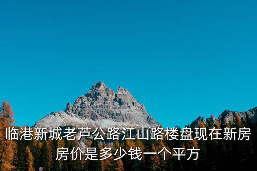 臨港新城老蘆公路江山路樓盤現在新房房價是多少錢一個平方