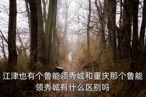 江津也有個魯能領秀城和重慶那個魯能領秀城有什么區別嗎