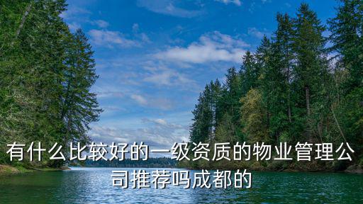 有什么比較好的一級(jí)資質(zhì)的物業(yè)管理公司推薦嗎成都的