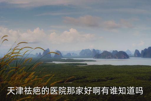 天津祛疤的醫(yī)院那家好啊有誰知道嗎