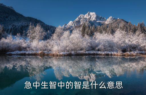 急中生智是什么意思,補充其他所謂的急中生智是美好的愿望
