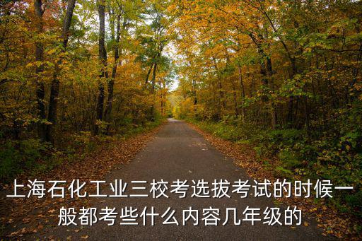 上海石化工業三校考選拔考試的時候一般都考些什么內容幾年級的