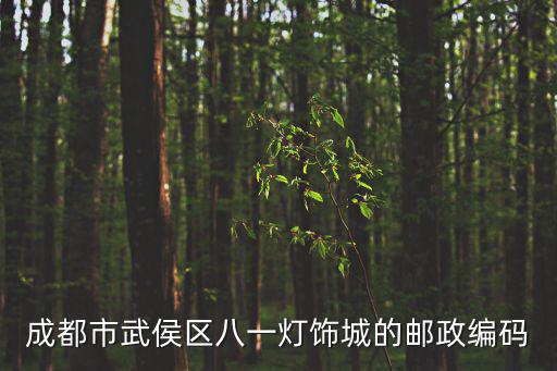 成都市武侯區八一燈飾城的郵政編碼