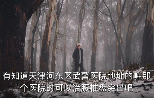天津市河?xùn)|區(qū)武警支隊(duì)，天津武警總隊(duì)
