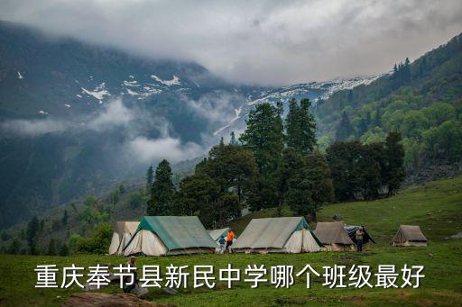 重慶市奉節縣新民鎮柏木村視頻，重慶報恩寺地址在哪里