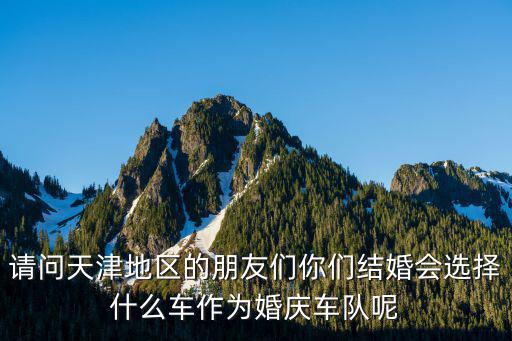 請問天津地區的朋友們你們結婚會選擇什么車作為婚慶車隊呢