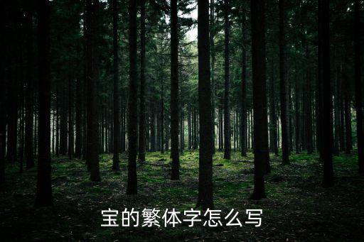 寶的繁體字，寶在繁體字里有兩種寫法這兩種寫法有何不同是一個字嗎