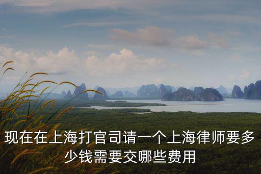 現在在上海打官司請一個上海律師要多少錢需要交哪些費用