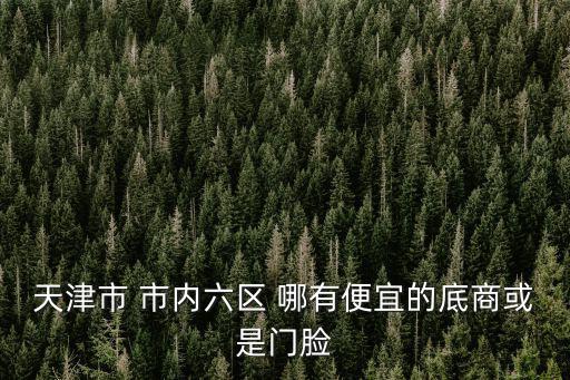 天津市 市內六區 哪有便宜的底商或是門臉
