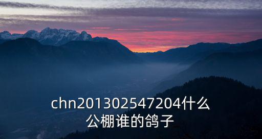chn201302547204什么公棚誰(shuí)的鴿子