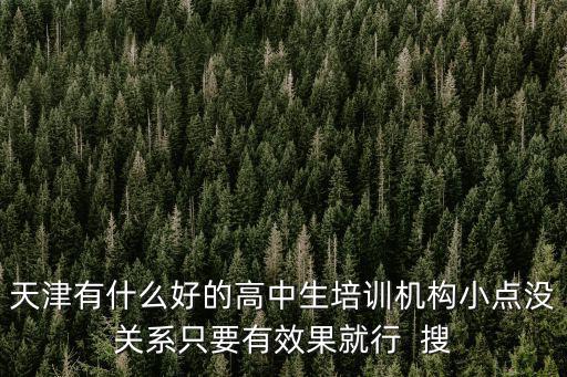 天津有什么好的高中生培訓(xùn)機(jī)構(gòu)小點(diǎn)沒關(guān)系只要有效果就行  搜