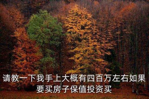 請教一下我手上大概有四百萬左右如果要買房子保值投資買